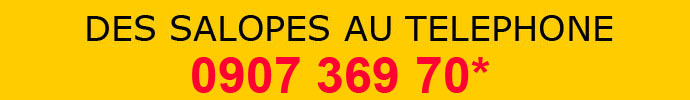 plan cul par telephone